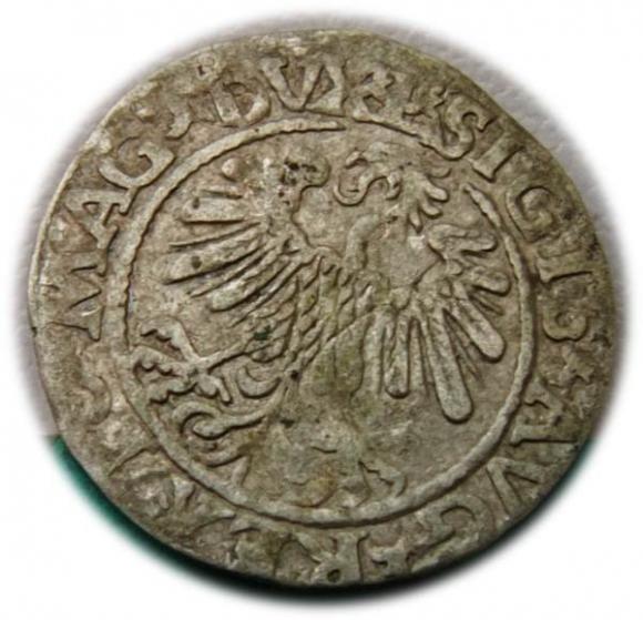 Półgrosz 1559 Zygmunt II August Wilno (2)