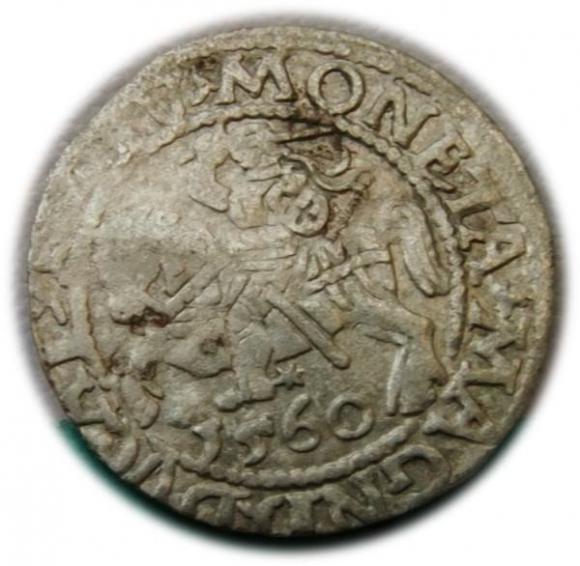 Półgrosz 1560 Zygmunt II August Wilno (1)