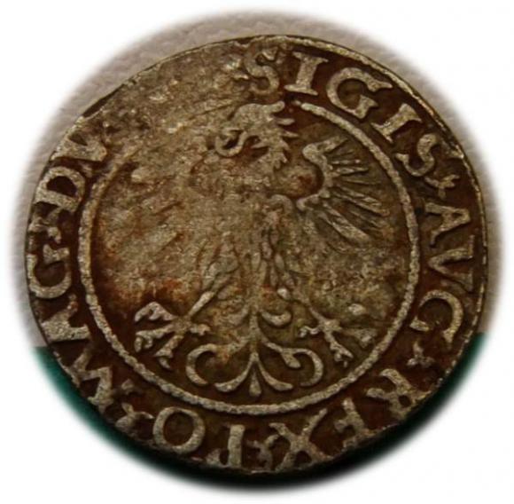 Półgrosz 1560 Zygmunt II August Wilno (2)