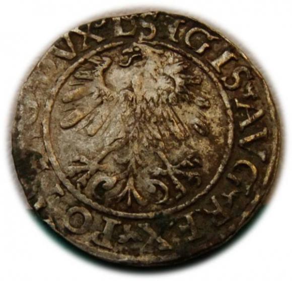 Półgrosz 1560 Zygmunt II August Wilno (2)