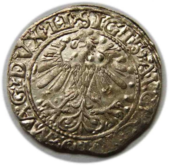 Półgrosz 1560 Zygmunt II August Wilno (2)