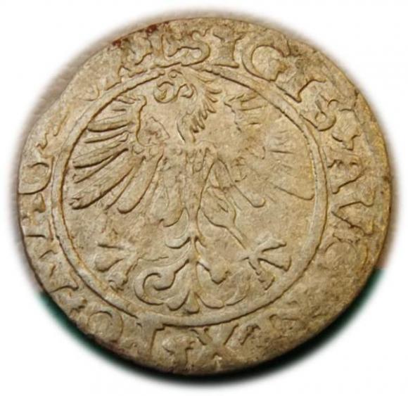 Półgrosz 1561 Zygmunt II August Wilno (2)