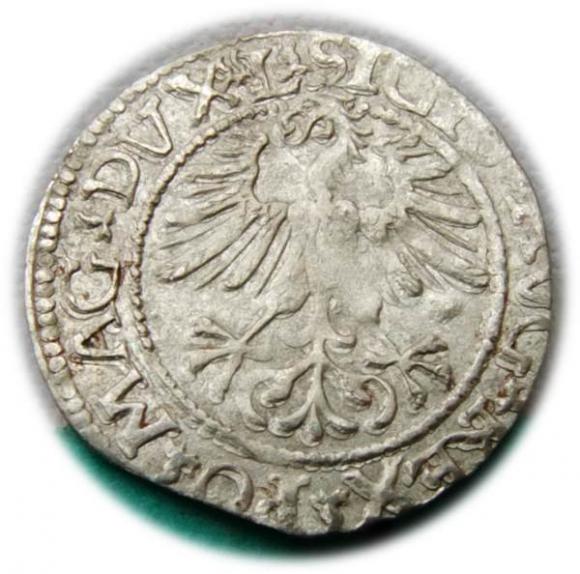 Półgrosz 1561 Zygmunt II August Wilno (2)