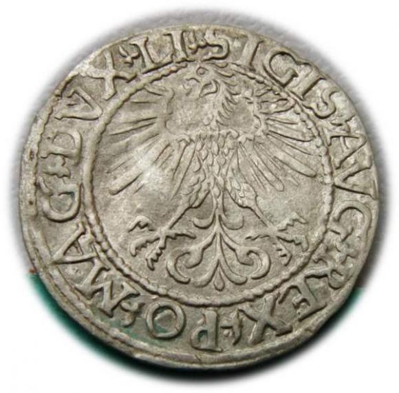 Półgrosz 1561 Zygmunt II August Wilno (2)