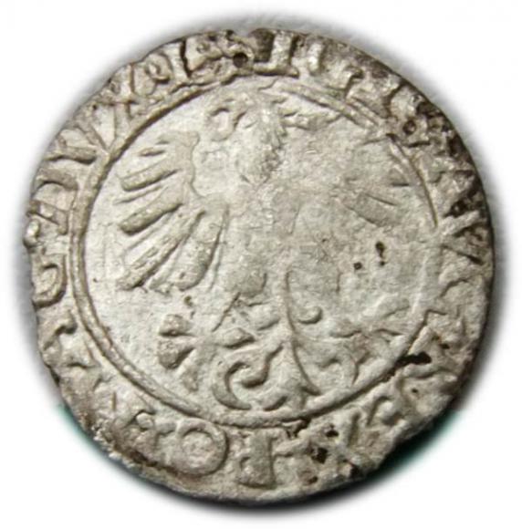 Półgrosz 1561 Zygmunt II August Wilno (2)