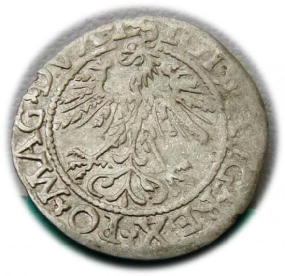 Półgrosz 1562 Zygmunt II August Wilno (2)