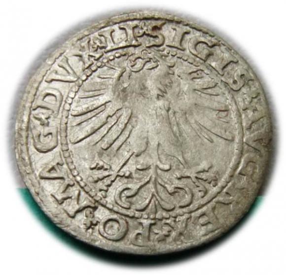Półgrosz 1563 Zygmunt II August Wilno (2)