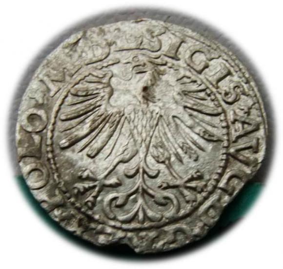 Półgrosz 1563 Zygmunt II August Wilno (2)