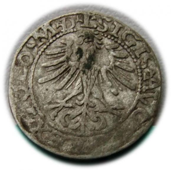 Półgrosz 1564 Zygmunt II August Wilno (2)