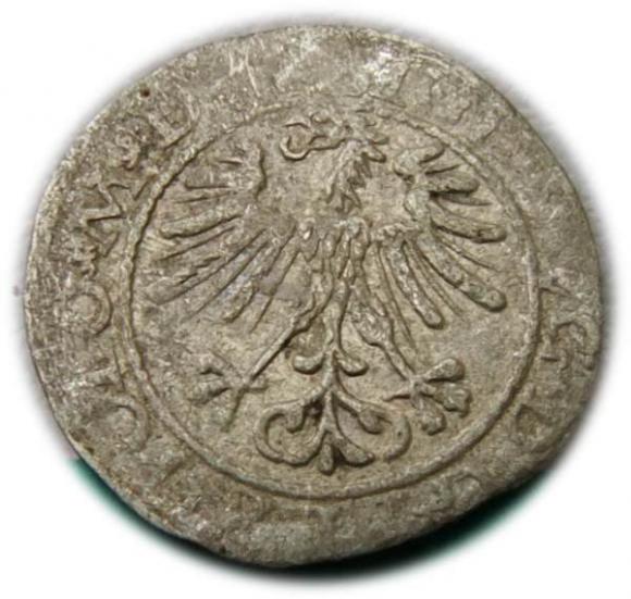 Półgrosz 1564 Zygmunt II August Wilno (2)