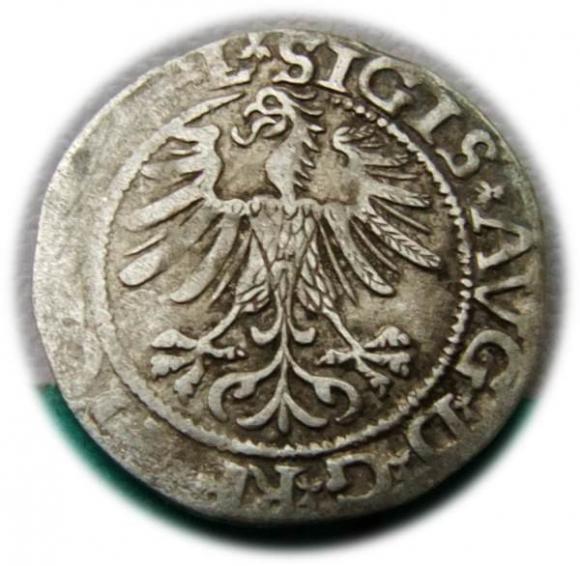 Półgrosz 1565 Zygmunt II August Wilno (2)