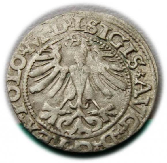 Półgrosz 1565 Zygmunt II August Wilno (2)