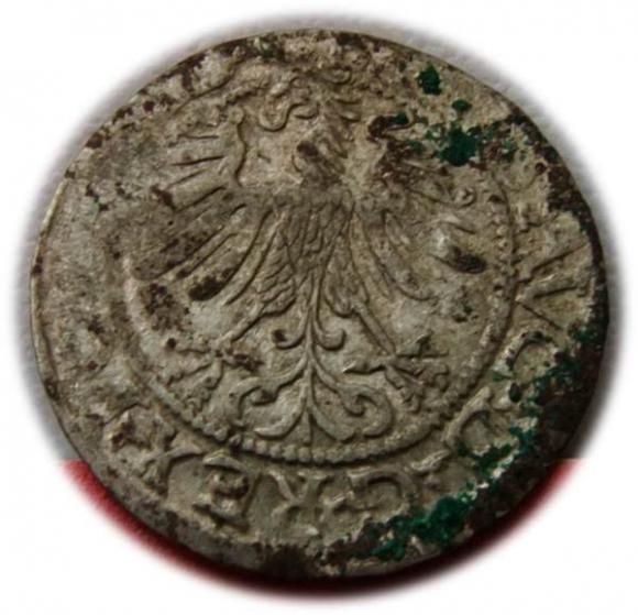 Półgrosz 1565 Zygmunt II August Wilno (2)