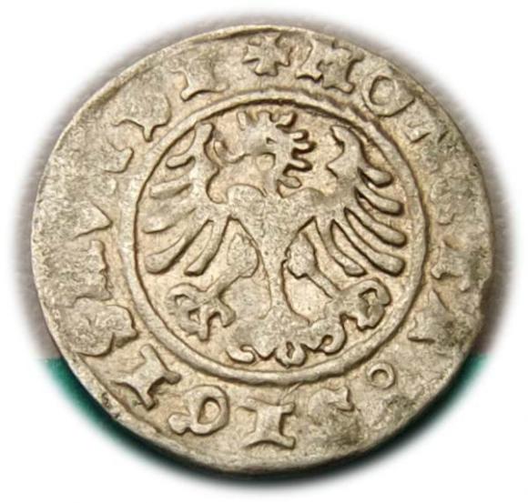 Półgrosz 1508 Zygmunt I Stary, Kraków (2)