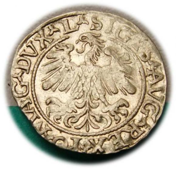 Półgrosz 1559 Zygmunt II August Wilno (2)