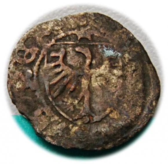 Szeląg Kazimierz Jagiellończyk Gdańsk (2)