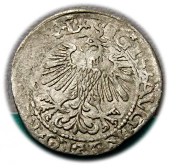 Półgrosz 1560 Zygmunt II August Wilno (2)