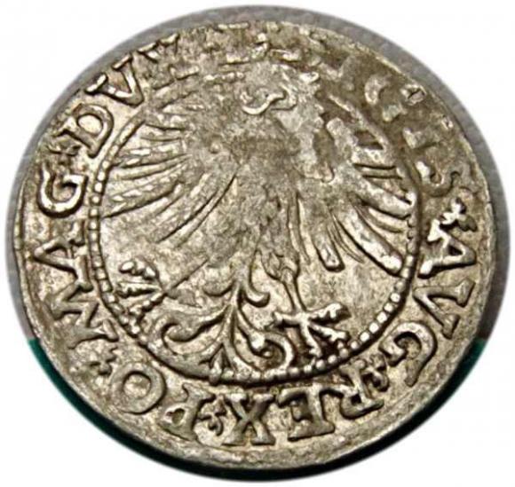 Półgrosz 1563 Zygmunt II August Wilno (2)