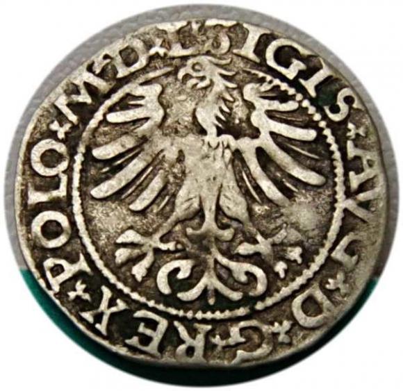Półgrosz 1565 Zygmunt II August Wilno (2)