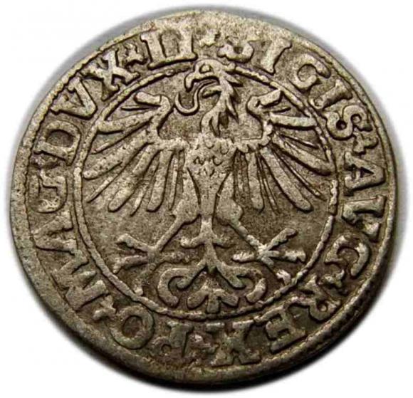 Półgrosz 1550 Zygmunt II August Wilno (2)