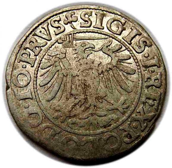 Grosz 1539 Zygmunt I Stary Elbląg (2)