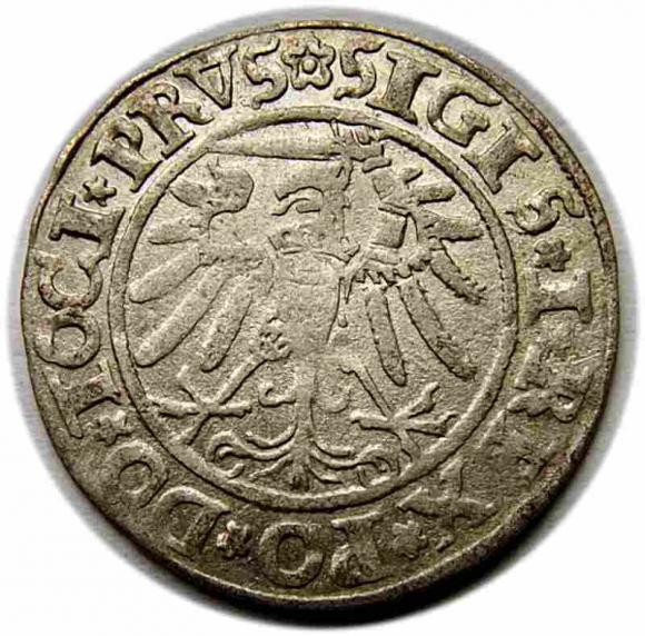 Grosz 1534 Zygmunt I Stary Elbląg