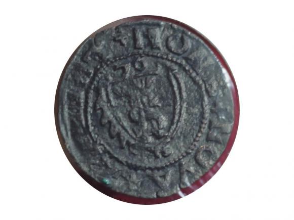 szeląg 1576, Mitawa, Gotthard Kettler (2)