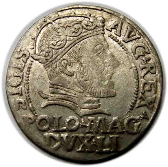 Grosz litewski na stopę polską 1546 Zygmunt II August Wilno (1)