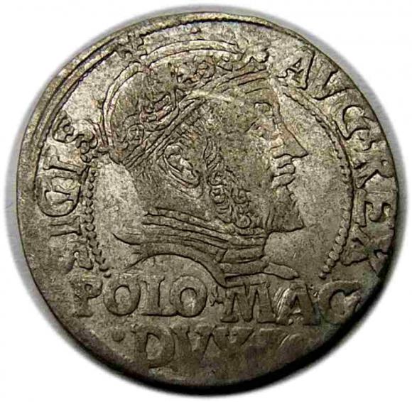 Grosz litewski na stopę polską 1547 Zygmunt II August Wilno (1)