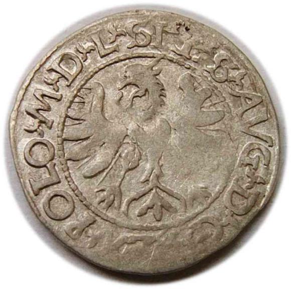 Półgrosz 1566 Zygmunt II August Litwa Tykocin (2)