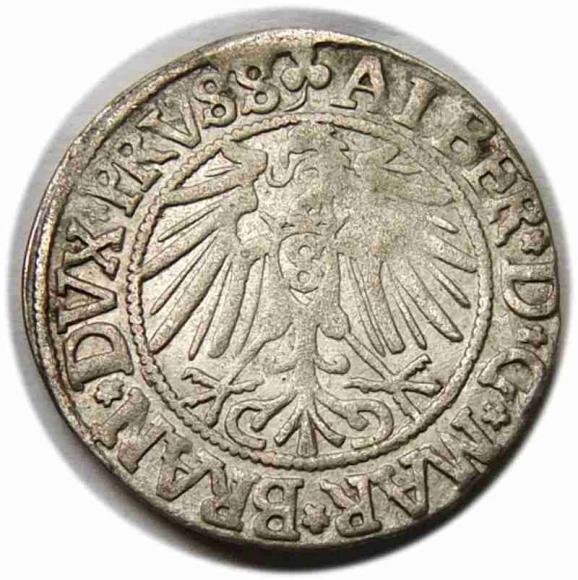 Grosz 1542 Albrecht Hohenzollern Księstwo Pruskie Królewiec (2)