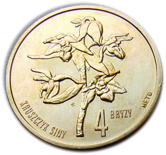 4 bryzy 2008 Związek Gmin Nadzalewowych Elbląg (1)