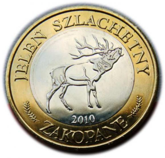 10 dutków 2010 Zakopane Jeleń Szlachetny (1)