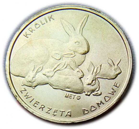 3 słuchy 2009 Człuchów (1)