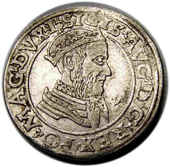 Czworak 1566 Zygmunt II August Wilno (1)