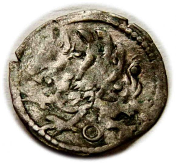 Kwartnik Szczecin (2)