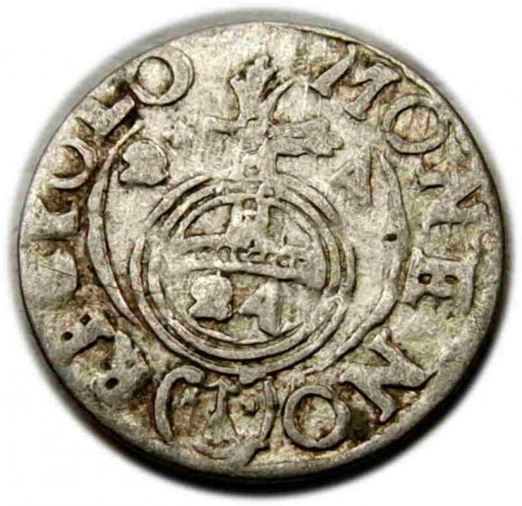 Półtorak 1624 Zygmunt III Waza Bydgoszcz (1)