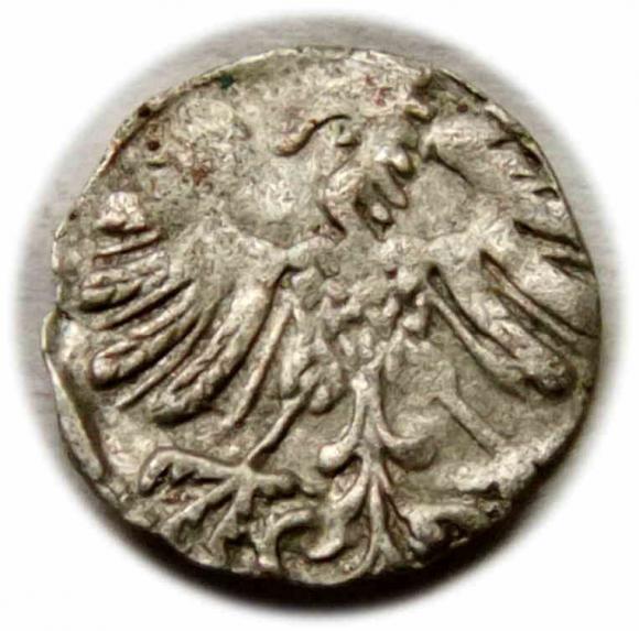 Denar 1558 Zygmunt II August Wilno (2)