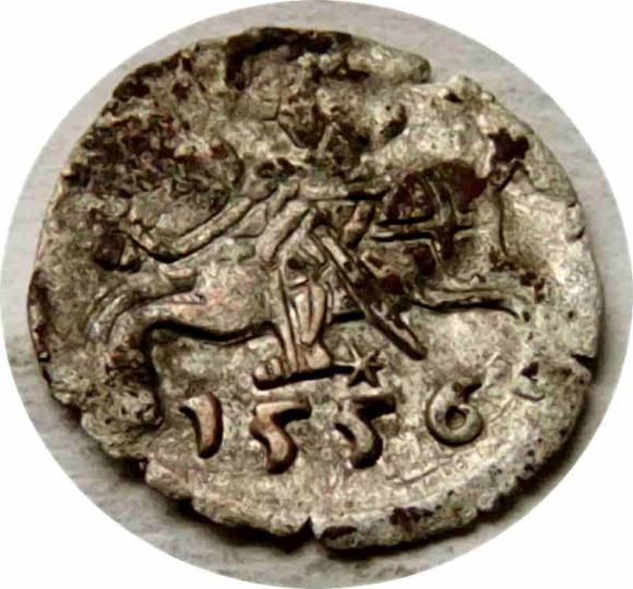 Denar 1556 Zygmunt II August Wilno (1)