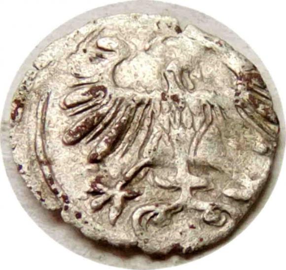 Denar 1556 Zygmunt II August Wilno (2)