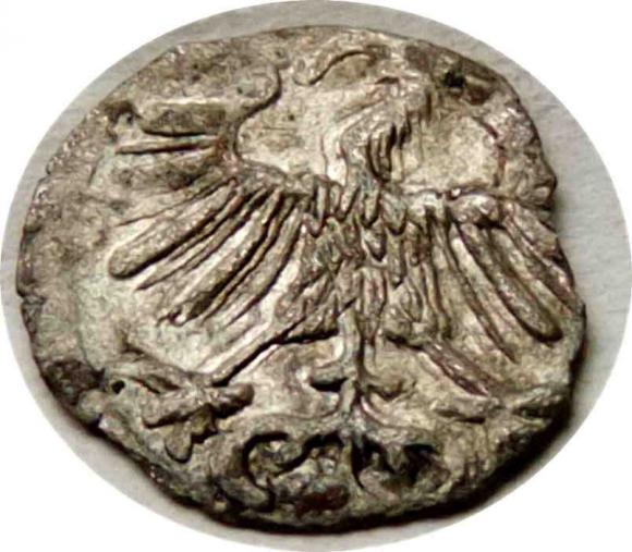 Denar 1557 Zygmunt II August Wilno (2)