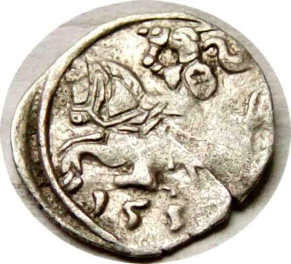 Denar 1559 Zygmunt II August Wilno (1)