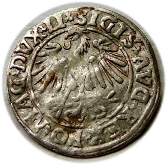 Półgrosz 1547 Zygmunt II August Wilno (2)