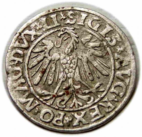 Półgrosz 1547 Zygmunt II August Wilno (2)