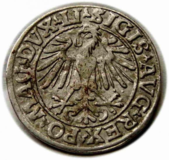 Półgrosz 1548 Zygmunt II August Wilno (2)