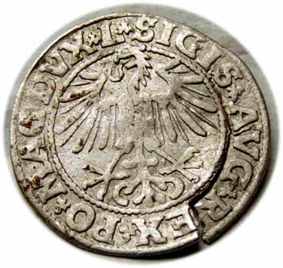 Półgrosz 1549 Zygmunt II August Wilno (2)