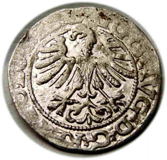 Półgrosz 1565 Zygmunt II August Wilno (2)
