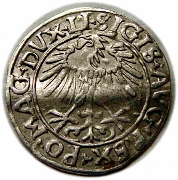 Półgrosz 1556 Zygmunt II August Wilno (2)