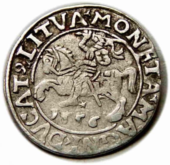 Półgrosz 1556 Zygmunt II August Wilno (1)