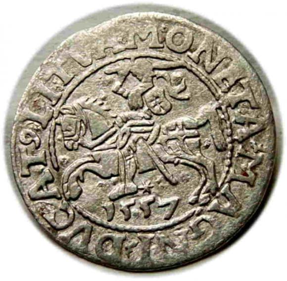 Półgrosz 1557 Zygmunt II August Wilno (1)